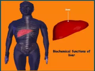 Biochemical functions of liver