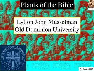 Plants of the Bible