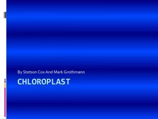 Chloroplast