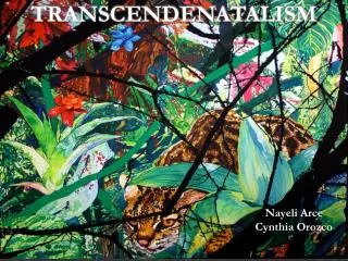 transcendenatalism