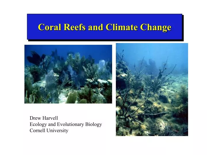 coral reefs and climate change