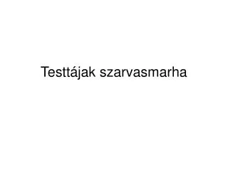 testt jak szarvasmarha