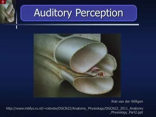 Auditory Perception