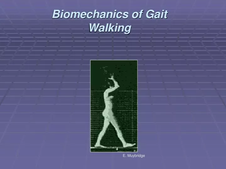 biomechanics of gait walking
