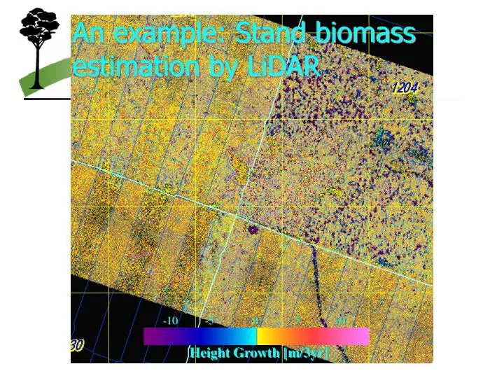 an example stand biomass estimation by lidar