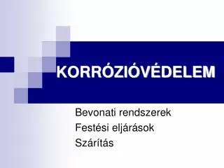 korr zi v delem
