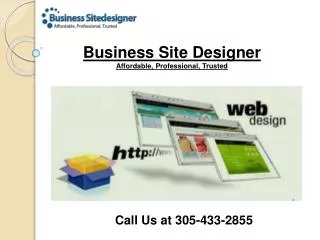 Professional Web Development and Web Designing Company