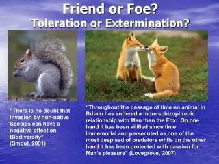 Friend or Foe? Toleration or Extermination?
