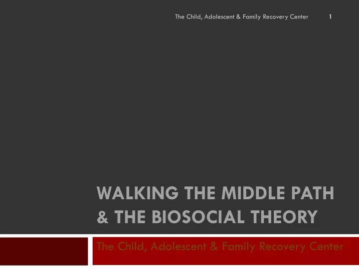 walking the middle path the biosocial theory