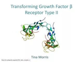 Transforming Growth Factor ? Receptor Type II