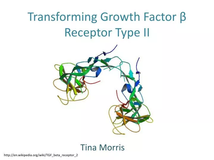 transforming growth factor receptor type ii
