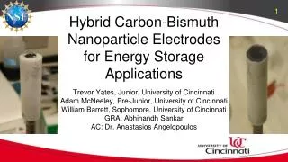 Hybrid Carbon-Bismuth Nanoparticle Electrodes for Energy Storage Applications