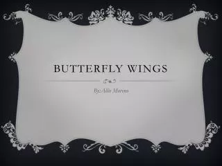 Butterfly wings