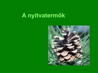 a nyitvaterm k
