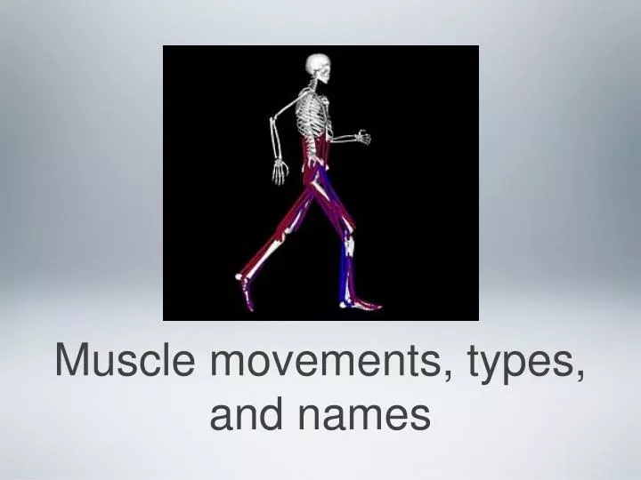 muscle movements types and names