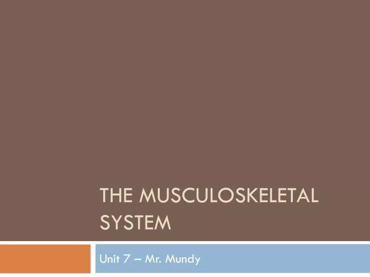 the musculoskeletal system