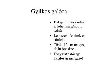 gyilkos gal ca