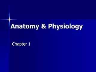 anatomy physiology