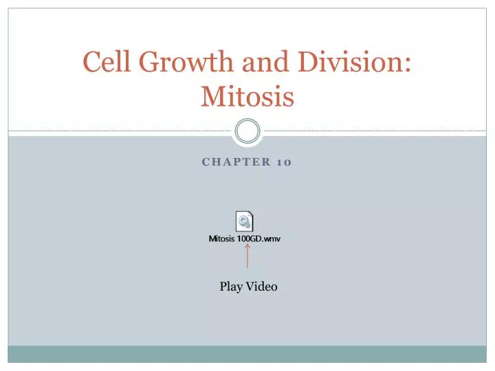 cell growth and division mitosis