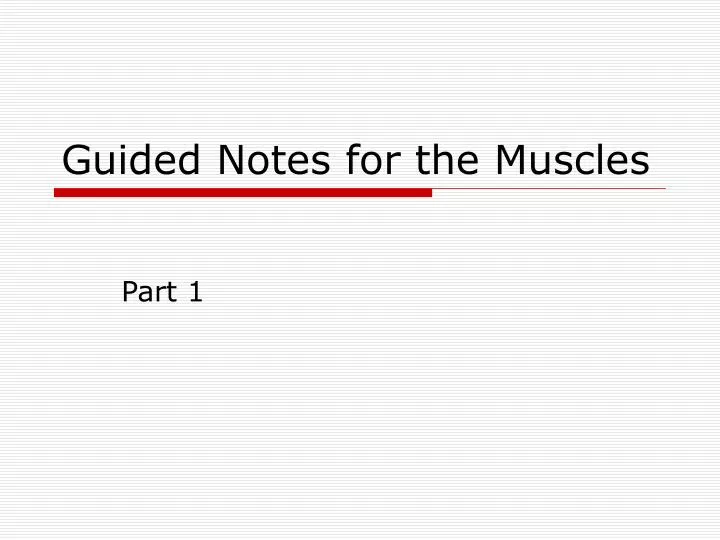 guided notes for the muscles