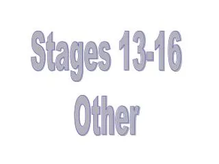 Stages 13-16 Other
