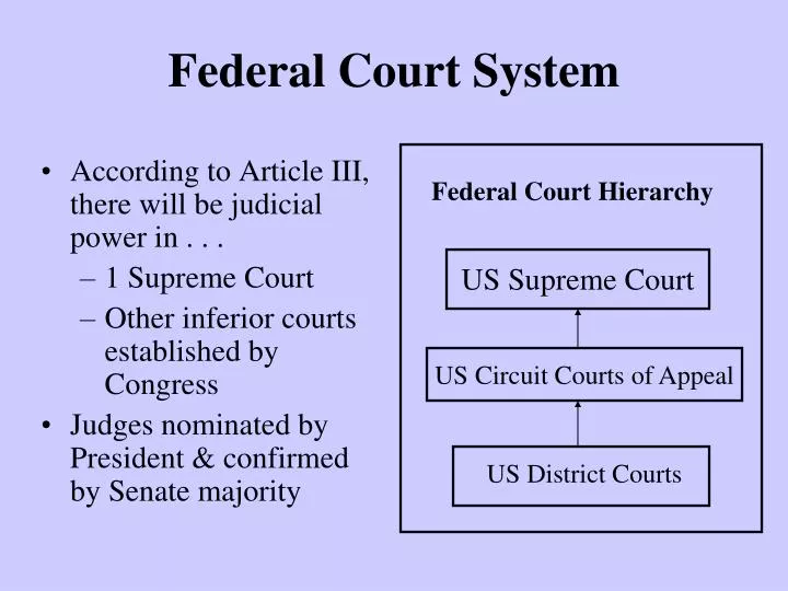 federal court system