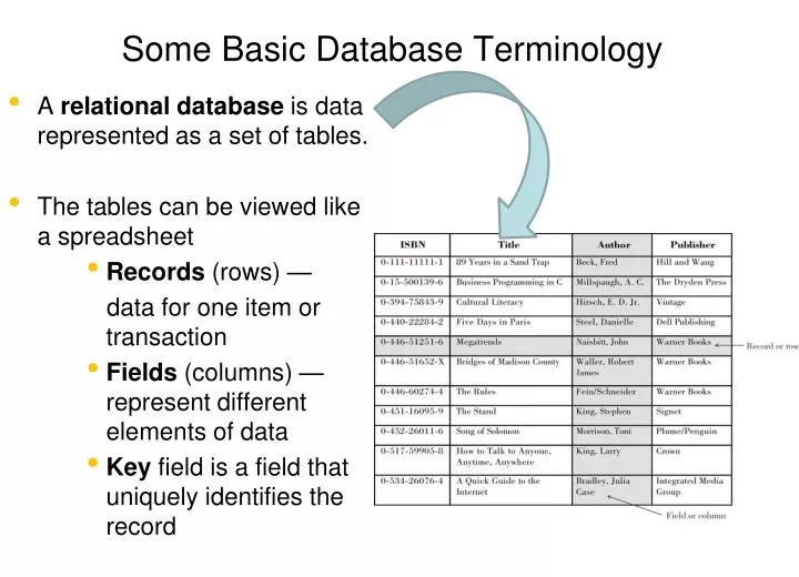 some basic database terminology