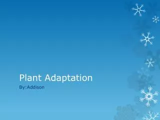 Plant Adaptation