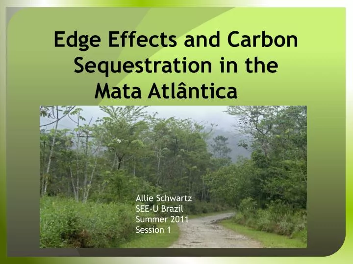 edge effects and carbon sequestration in the mata atl ntica