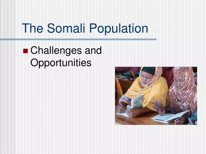 the somali population