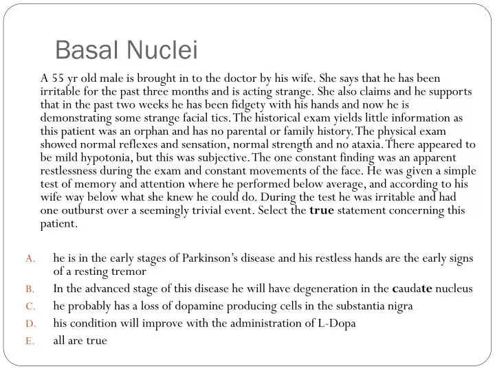 basal nuclei