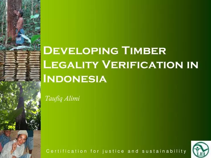 developing timber legality verification in indonesia