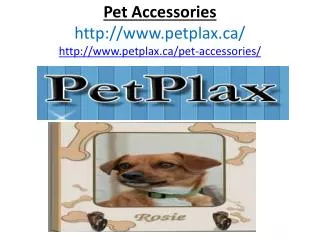 Pet for gift, Pet Accessories