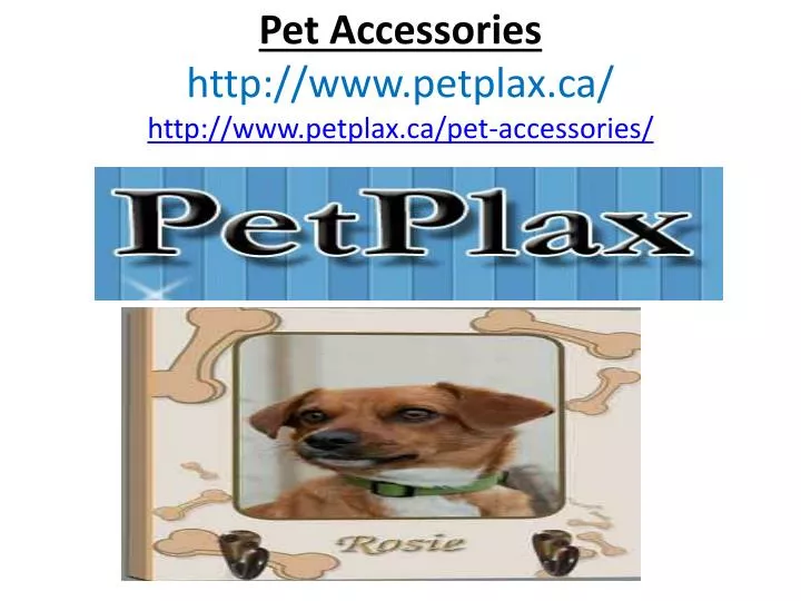 pet accessories http www petplax ca http www petplax ca pet accessories
