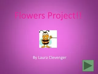 Flowers Project!!