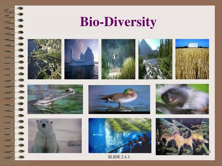 bio diversity