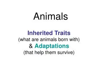 Inherited Traits (what are animals born with) &amp; Adaptations (that help them survive)