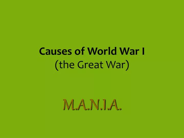 causes of world war i the great war