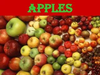 APPLES