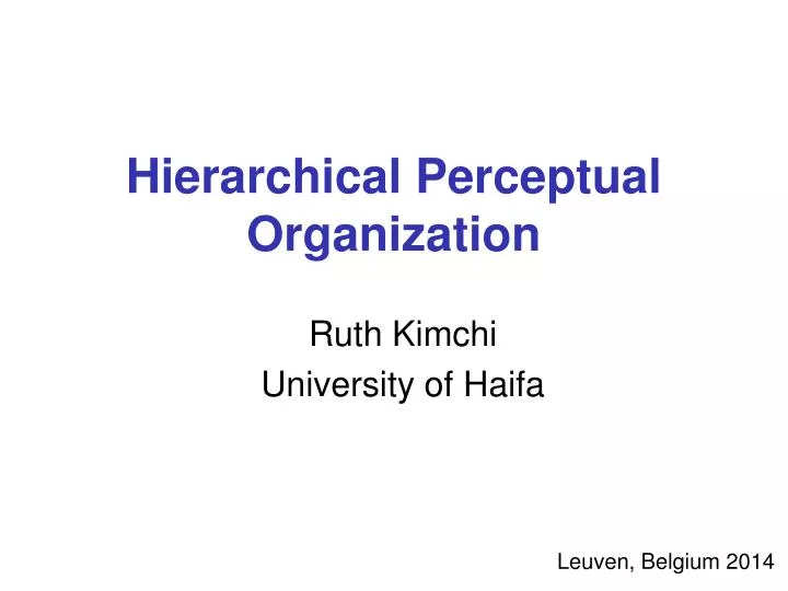 hierarchical perceptual organization