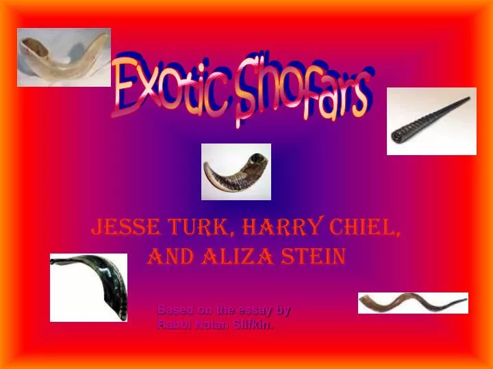 jesse turk harry chiel and aliza stein
