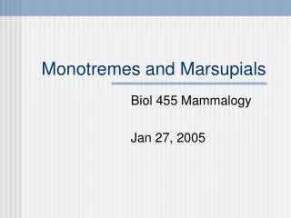 Monotremes and Marsupials