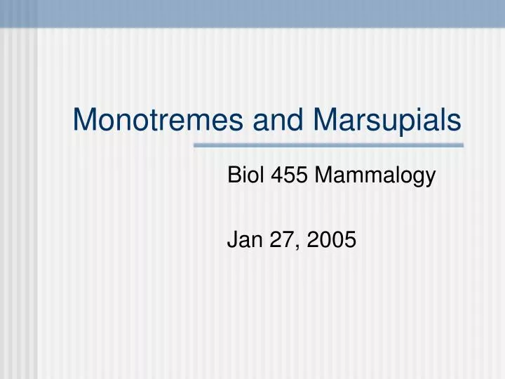 monotremes and marsupials