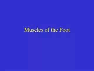 Muscles of the Foot