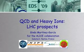 QCD and Heavy Ions: LHC prospects