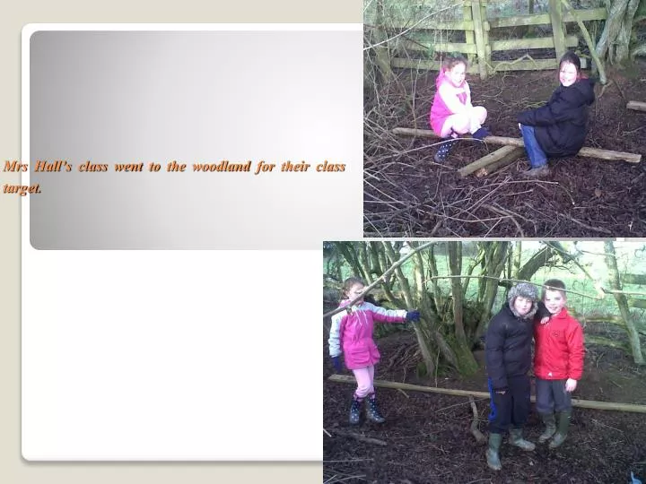 mrs hall s class went to the woodland for their class target