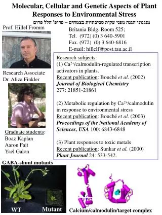 Molecular, Cellular and Genetic Aspects of Plant Responses to Environmental Stress