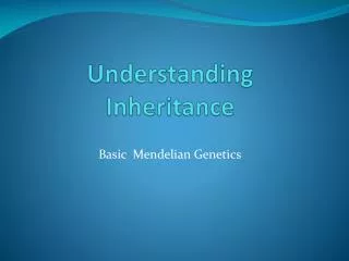 Understanding Inheritance