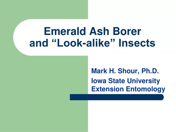 emerald ash borer and look alike insects