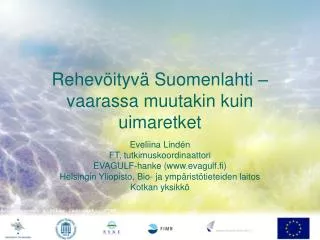 rehev ityv suomenlahti vaarassa muutakin kuin uimaretket